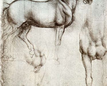 35-leonardo-da-vinci-horse_study-credit_windsor_castle_london.jpg