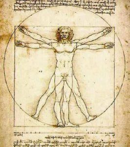 67-Vitruvian_man_sketch_leonardo_da_vinci.jpg